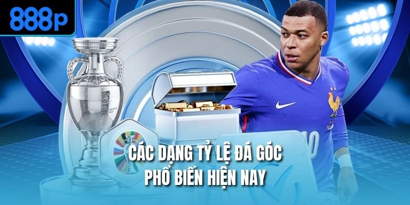 Các dạng tỷ lệ đá góc phổ biến hiện nay