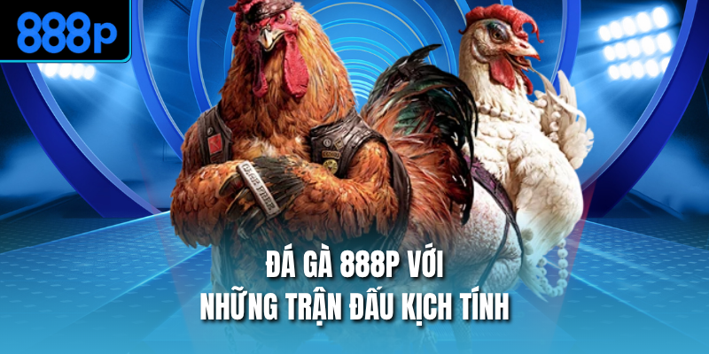 Đá gà 888P với những trận đấu kịch tính
