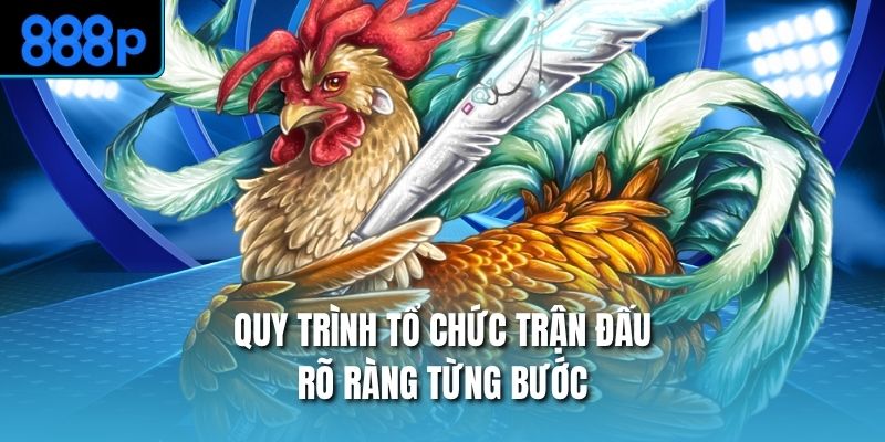 Quy trình tổ chức trận đấu rõ ràng từng bước