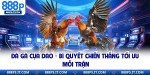 Đá Gà Cựa Dao - Bí Quyết Chiến Thắng Tối Ưu Mỗi Trận